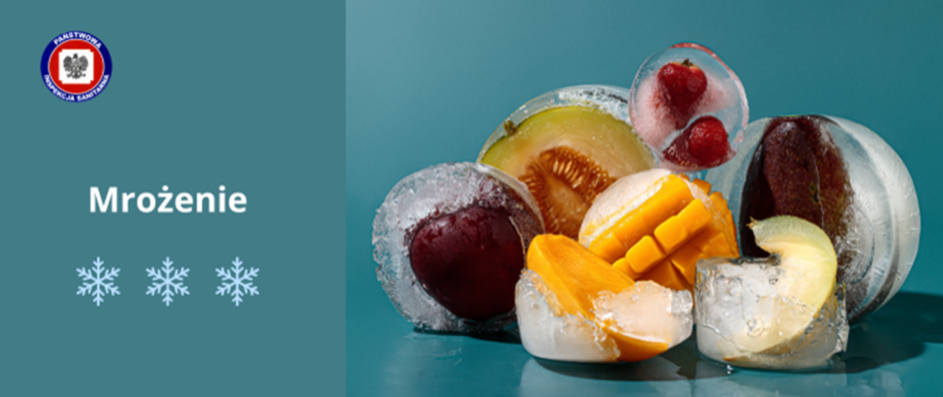 Mrożenie