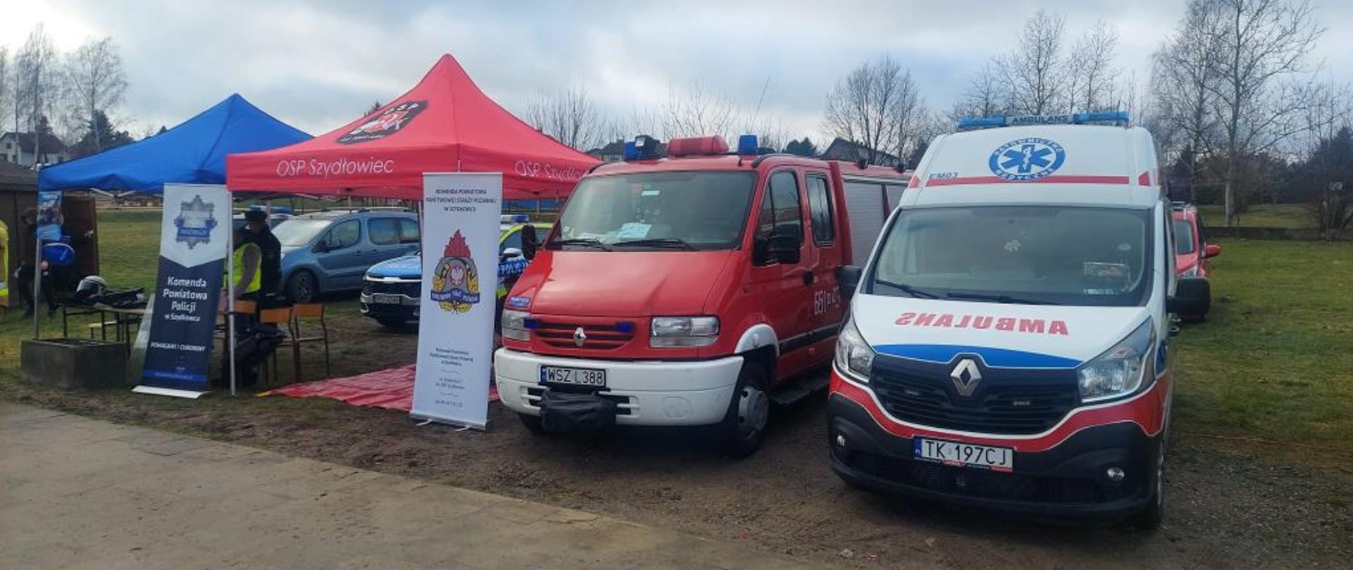 PSP Szydłowiec gra z WOŚP