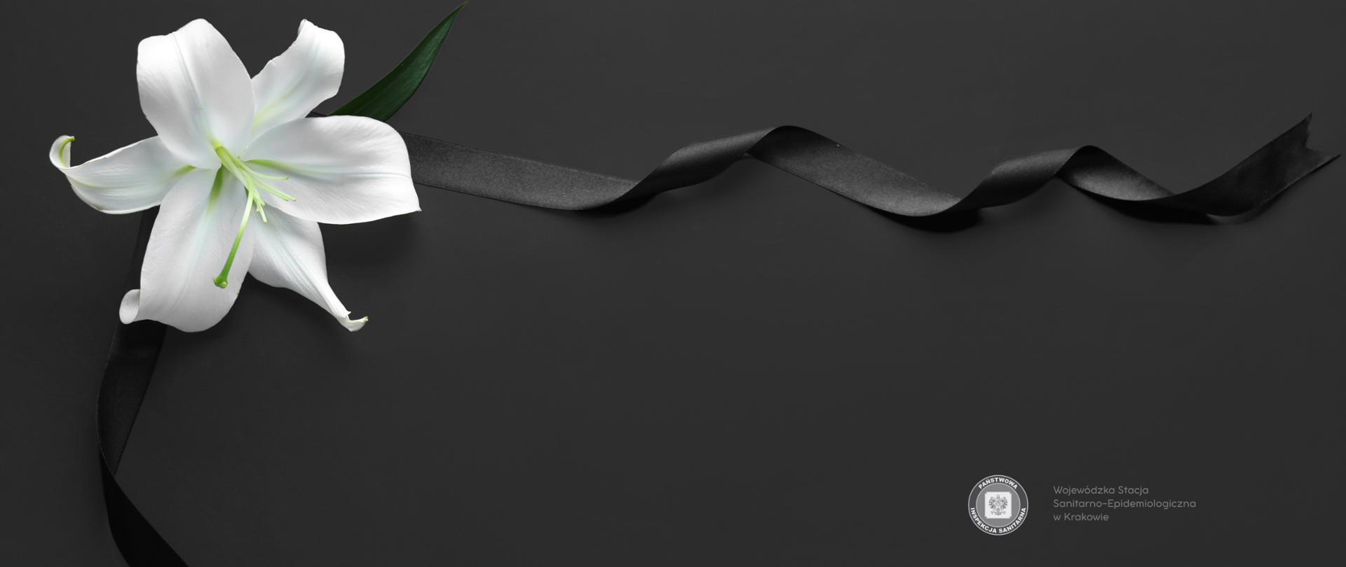 Zdjęcie przedstawia kir żałobny