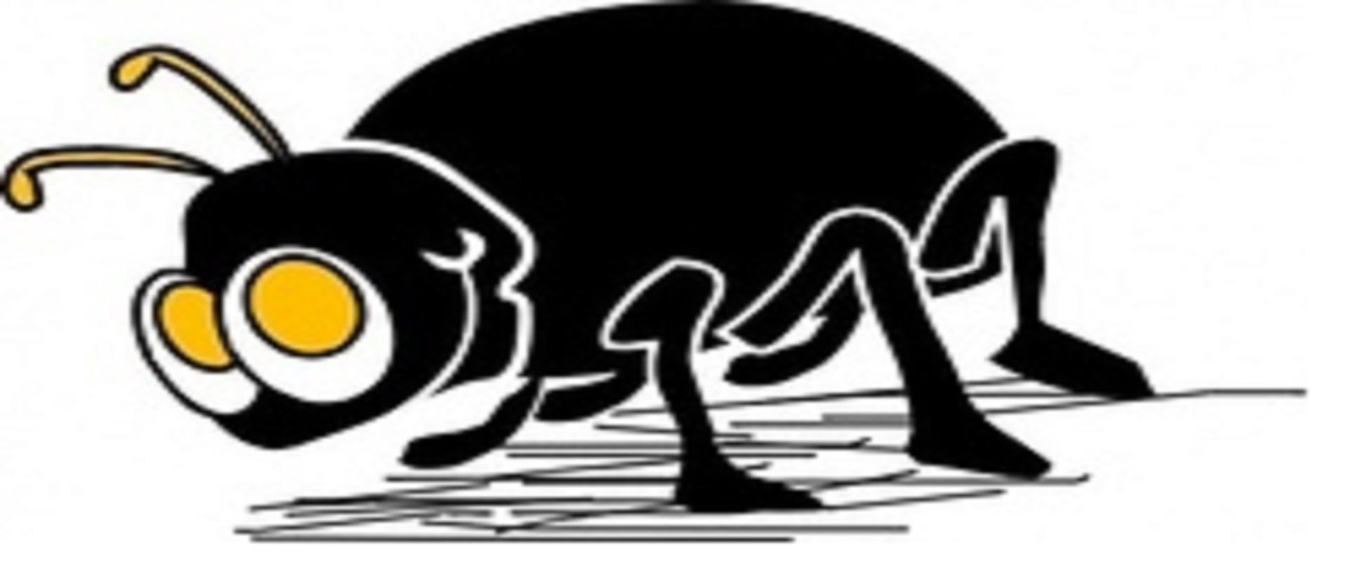 Występowanie insektów w blokach mieszkalnych