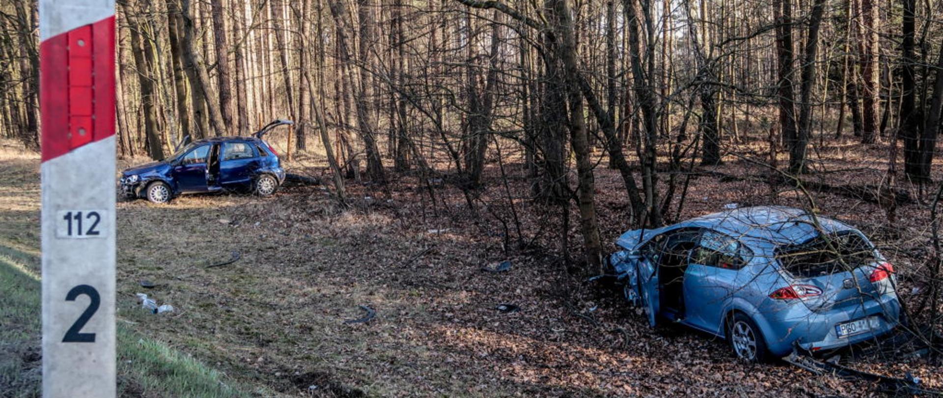 Po lewej słupek drogowy, w tle las i rozbite dwa samochody osobowe.