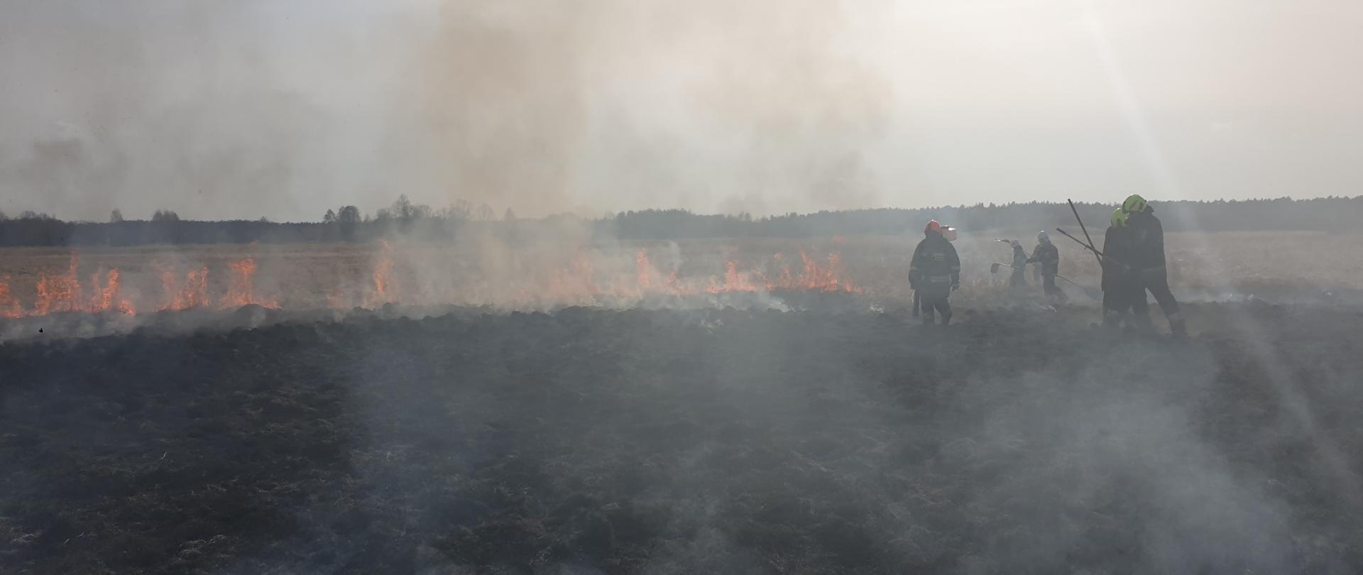 Pożar suchej trawy w Wojnowicach, 6 strażaków gasi pożar za pomocą tłumic. Działania w zadymieniu.