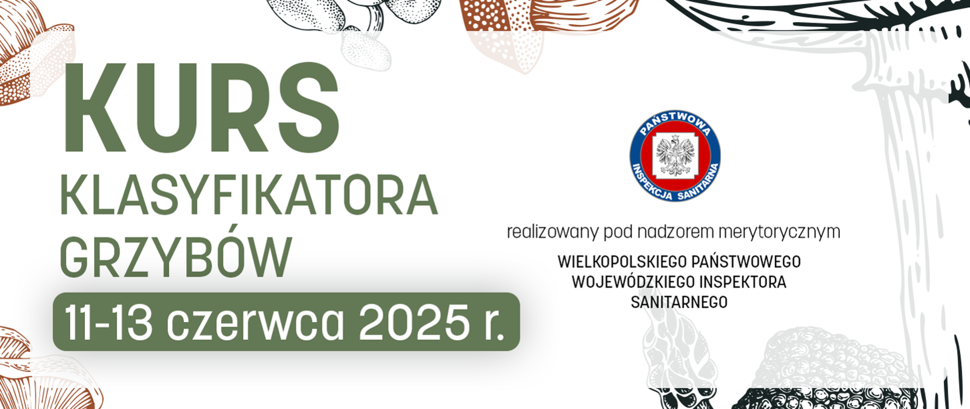 Na pierwszym planie napis kurs klasyfikatora grzybów 11-13 czerwca 2025, w tle rysunki grzybów