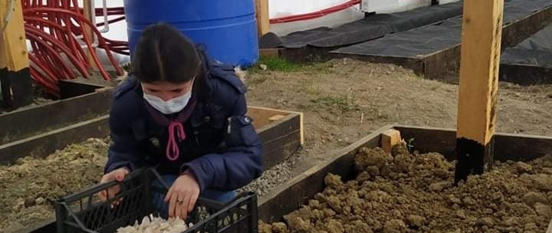 Kobieta pracuje w szklarni