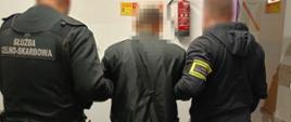 Funkcjonariuszki Służby Celno-Skarbowej prowadzą zatrzymaną osobę.