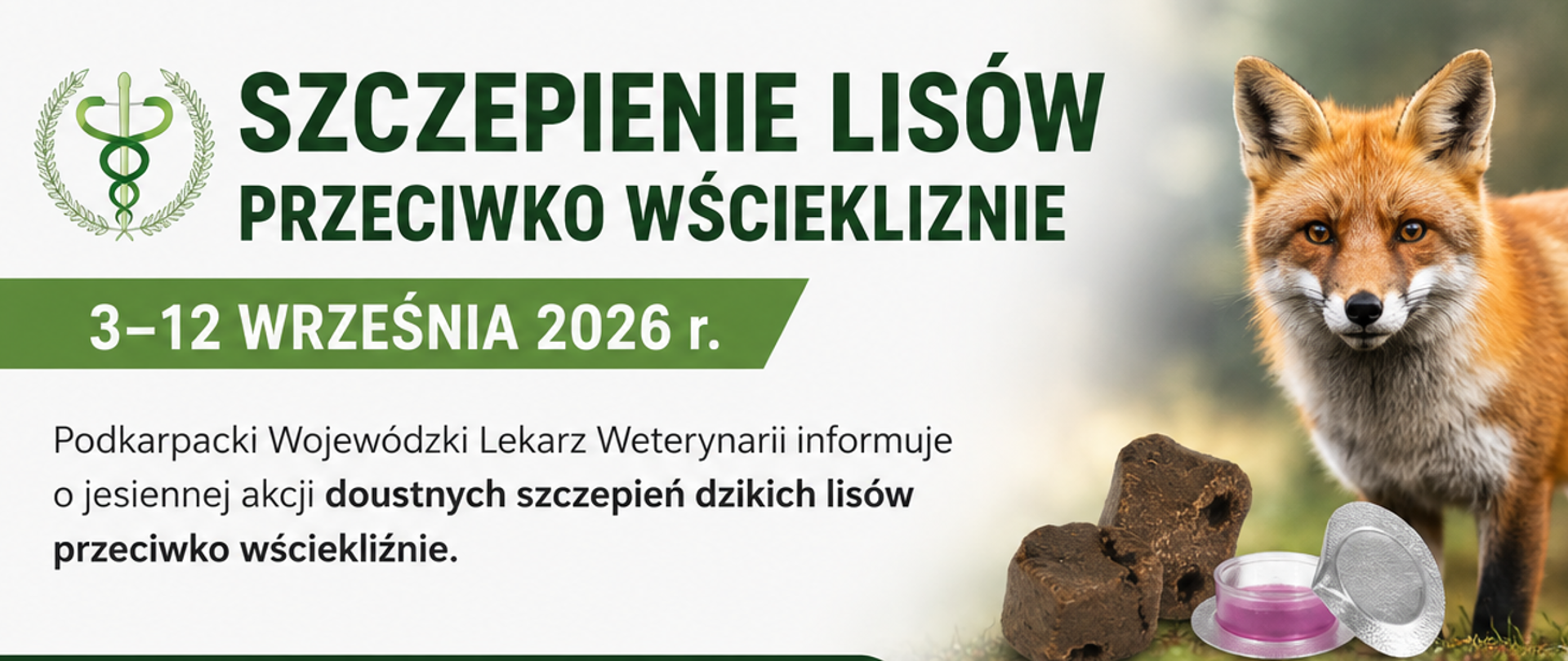 Szczepienie lisów jesień 2026