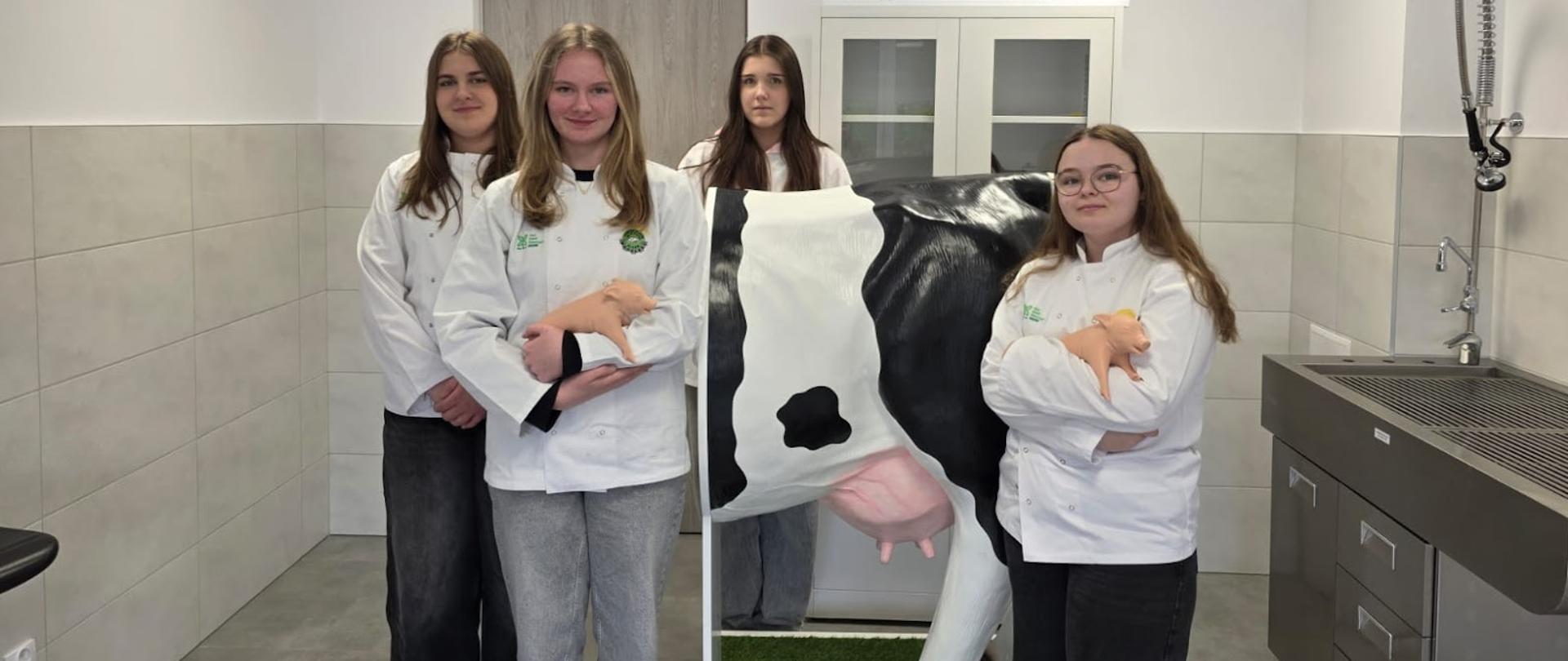 pracownia weterynarii