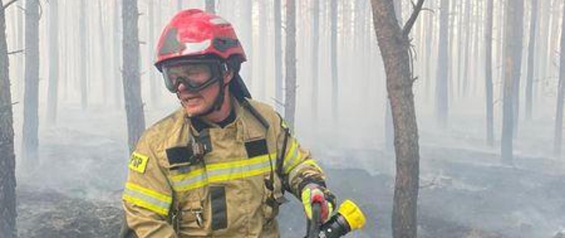 Strażak podczas gaszenia pożaru lasu