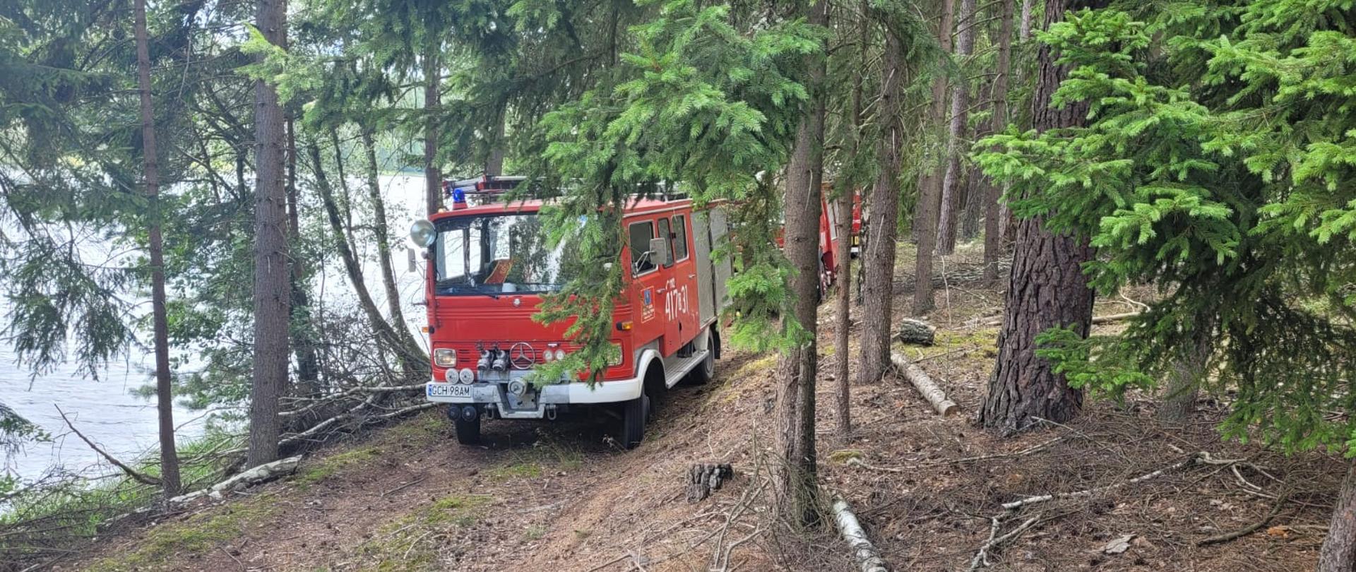 Las, stojące drzewa, w oddali tafla jeziora. Widoczne samochody pożarnicze na drodze dojazdowej. 