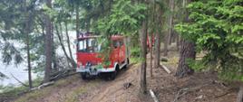 Las, stojące drzewa, w oddali tafla jeziora. Widoczne samochody pożarnicze na drodze dojazdowej. 