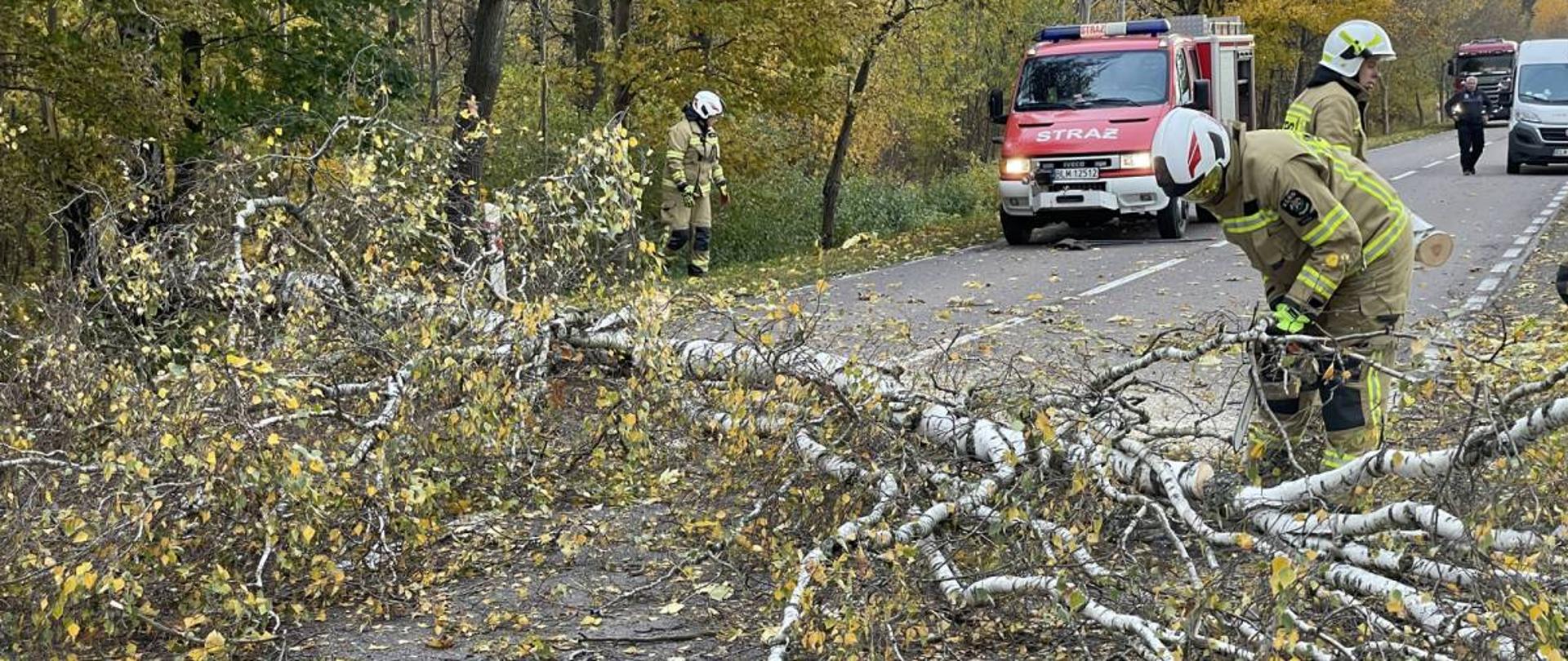 Przewrócone drzewo na drogę krajową jest usuwane za pomocą piły łańcuchowej przez strażaków ochotników