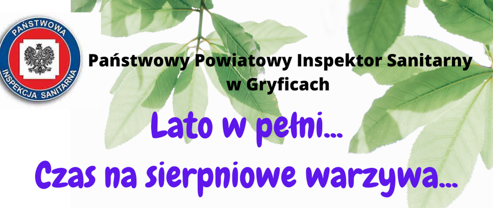 Lato w pełni... Czas na sierpniowe warzywa...