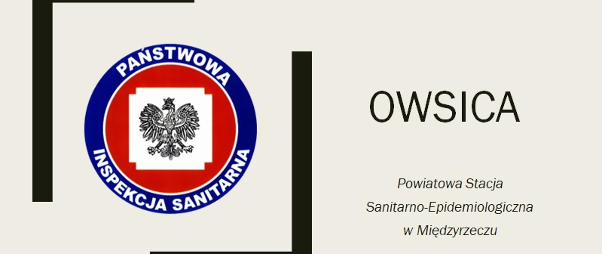 Owsica