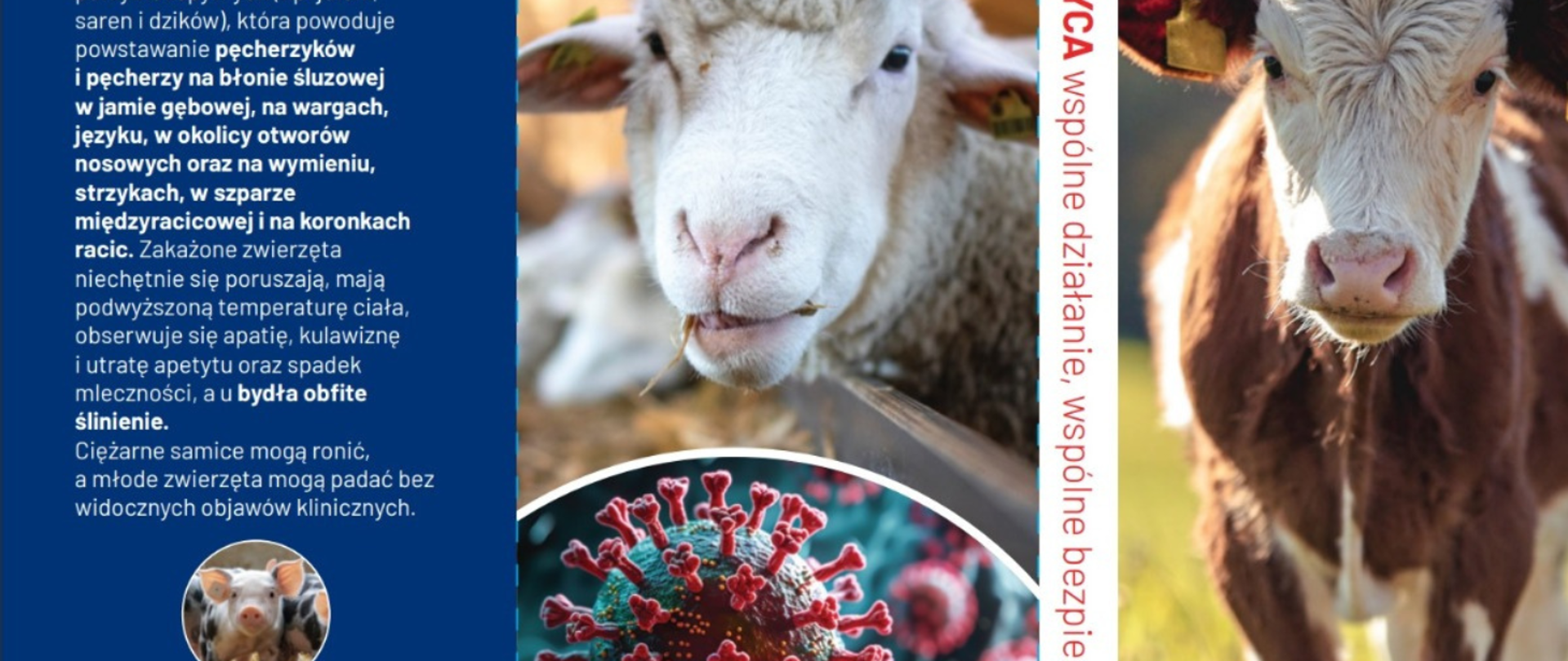 zwierzęta i opis choroby