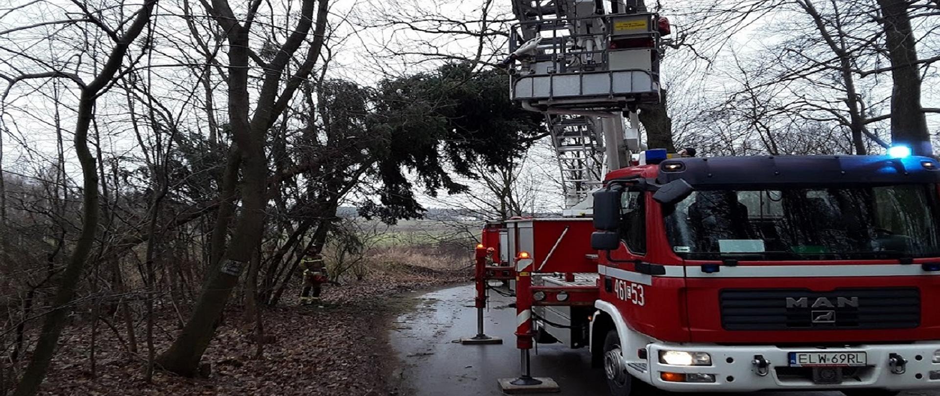 zdjęcie przedstawia samochód strażacki podnośnik hydrauliczny rozstawiony na drodze asfaltowej pod pochylonym w poprzek drogi drzewem. Pod drzewem stoi strażak ratownik z pilarka do drewna.