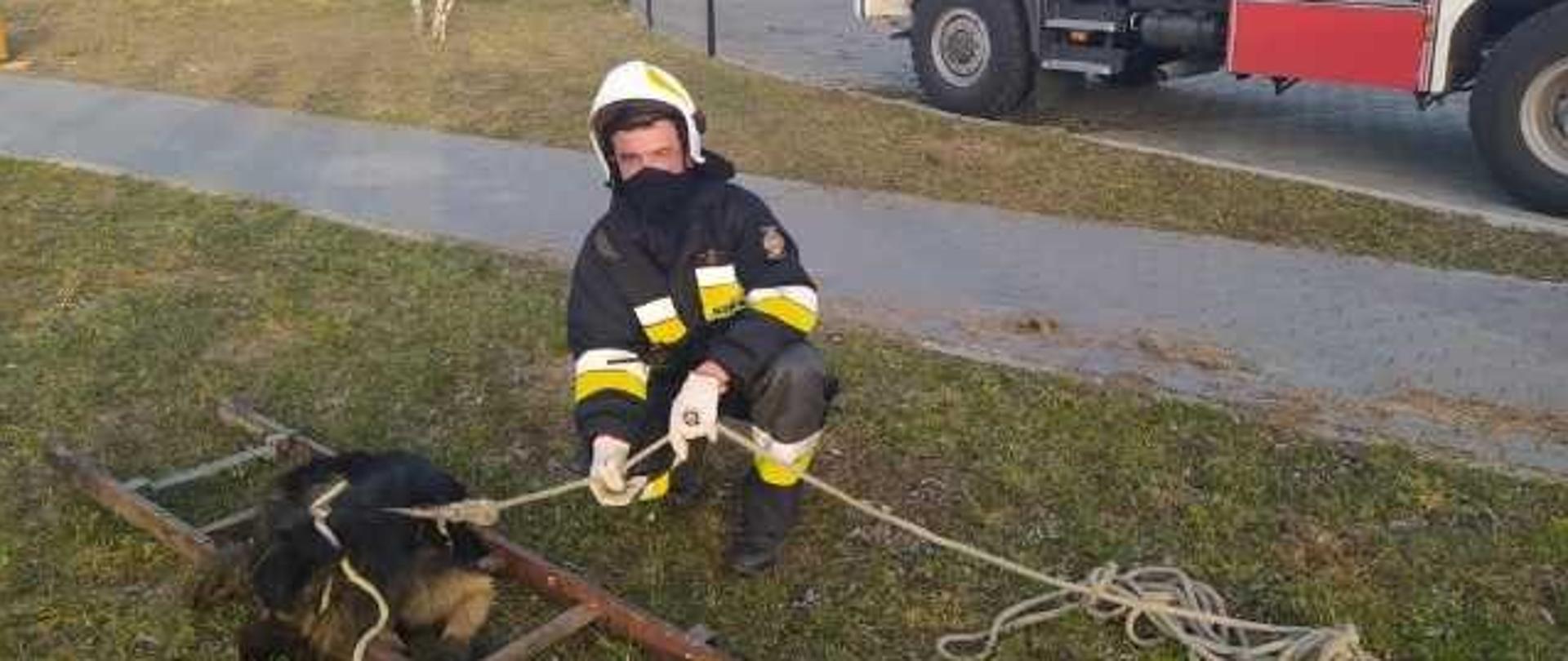 Strażak trzyma na lince czarnego psa rasy owczarek niemiecki. Pies leży na drabinie, która jest położona na trawie. W tle widać wóz strażacki.