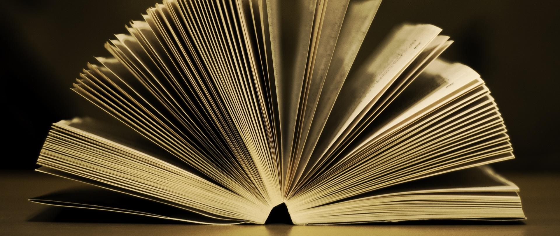 Na blacie znajduje się otwarta książka.