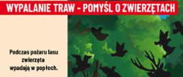 Stop pożarom traw - pomyśl o zwierzętach