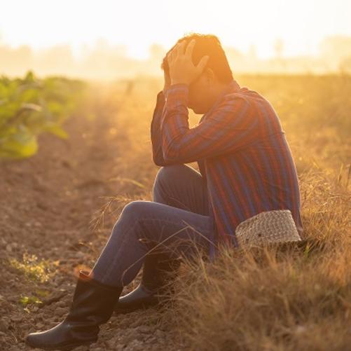 rolnik trzymający się za głowę