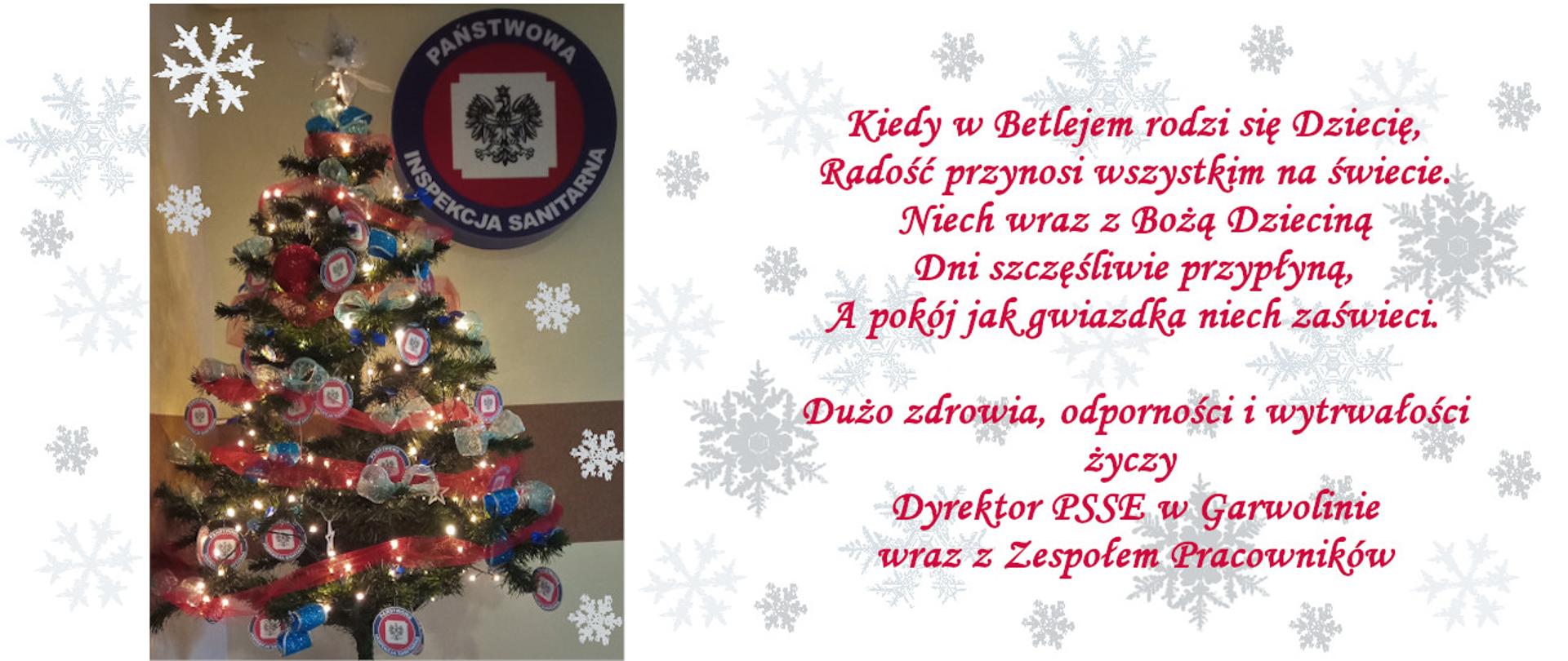 Z lewej strony zdjęcia znajduje się choinka przybrana bombkami zrobionymi z logo Państwowej Inspekcji Sanitarnej oraz błękitnymi i niebieskimi kokardami. Przepasana jest czerwoną wstążką, na czubku znajduje się stroik z białej wstążki. Na choince świecą się lampki. Na górze po prawej stronie choinki znajduje się logo Państwowej Inspekcji Sanitarnej. Z prawej strony zdjęcia znajdują się życzenia zapisane czerwoną czcionką:
Kiedy w Betlejem rodzi się Dziecię,
Radość przynosi wszystkim na świecie.
Niech wraz z Bożą Dzieciną
Dni szczęśliwie przypłyną,
A pokój jak gwiazdka niech zaświeci.
Dużo zdrowia, odporności i wytrwałości
życzy
Dyrektor PSSE w Garwolinie
wraz z Zespołem Pracowników.
W tle na całym zdjęciu umieszczone są szare płatki śniegu w różnych wielkościach i kształtach.
