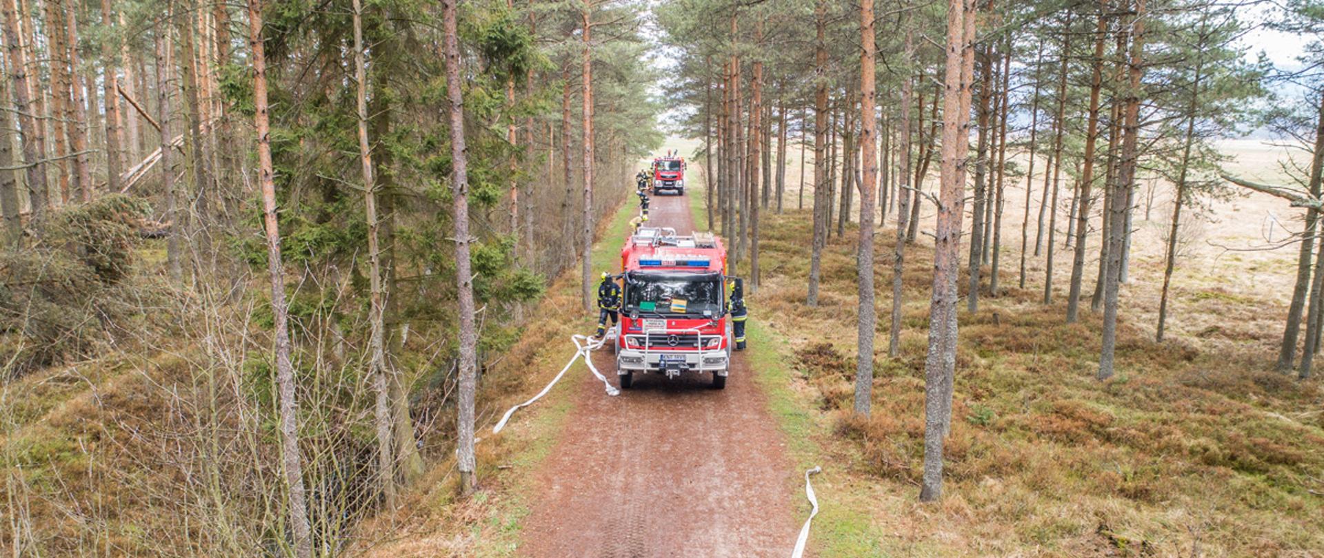 Ćwiczenia w Rezerwacie Bór na Czerwonem w Nowym Targu