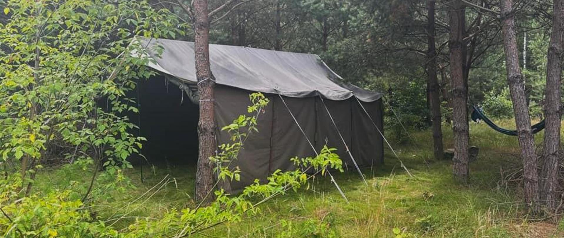 obóz harcerski 2024