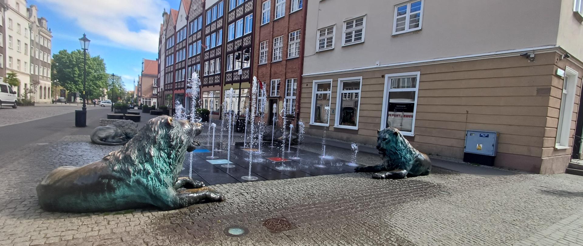 Fontanny miejsce nie do kąpieli, nie do picia!