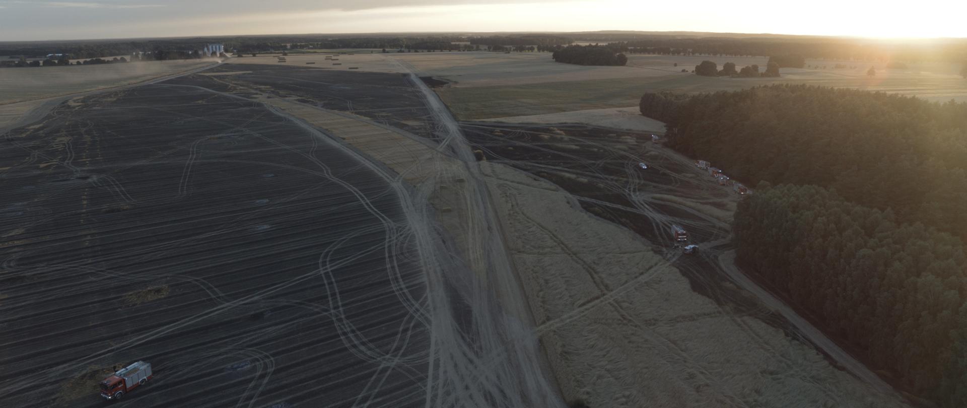 Skutki pożaru upraw rolnych i lasu w pow. złotowskim w m. Samborsko