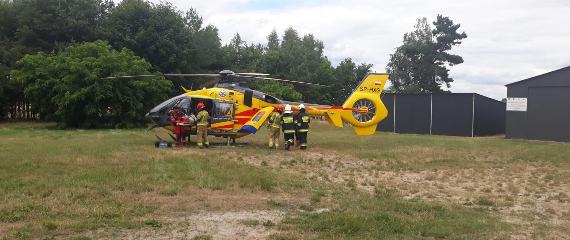 Zdjęcie przedstawia śmigłowiec Lotniczego Pogotowia Ratunkowego w kolorze żółtym. Obok niego znajduje się kilku strażaków Państwowej Straży Pożarnej oraz Ochotniczej Straży Pożarnej. Ratownik medyczny wraz ze strażakiem układają poszkodowanego do wnętrza śmigłowca. W tle znajduje się las, po prawej stronie blaszane garaże.