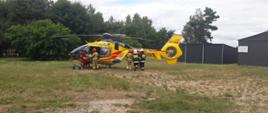 Zdjęcie przedstawia śmigłowiec Lotniczego Pogotowia Ratunkowego w kolorze żółtym. Obok niego znajduje się kilku strażaków Państwowej Straży Pożarnej oraz Ochotniczej Straży Pożarnej. Ratownik medyczny wraz ze strażakiem układają poszkodowanego do wnętrza śmigłowca. W tle znajduje się las, po prawej stronie blaszane garaże.