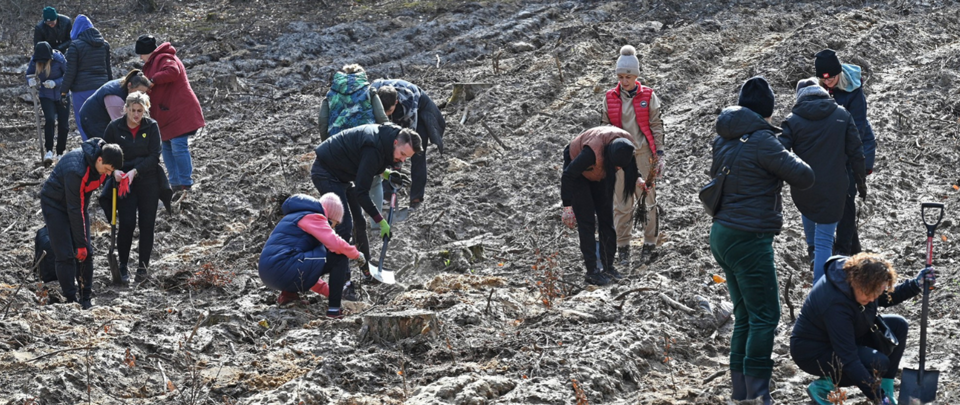 Pracownicy Państwowej Inspekcji Sanitarnej w województwie kujawsko-pomorskim posadzili las 