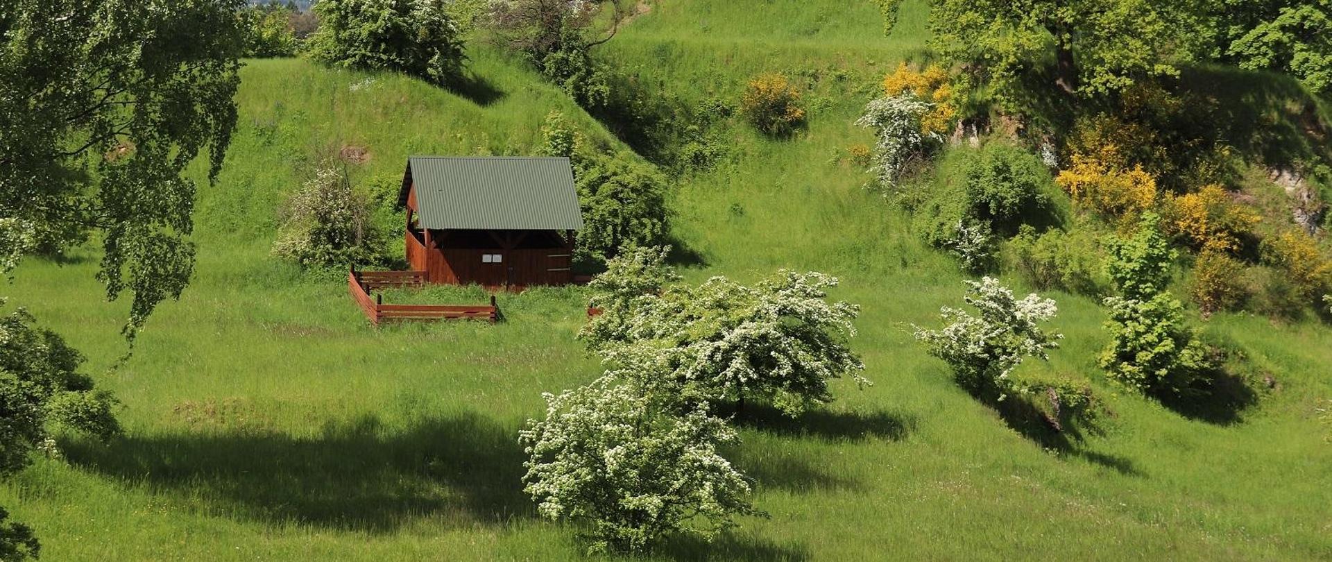 Widok na rezerwat przyrody Góra Świętej Anny, widoczna wiata dla owiec.