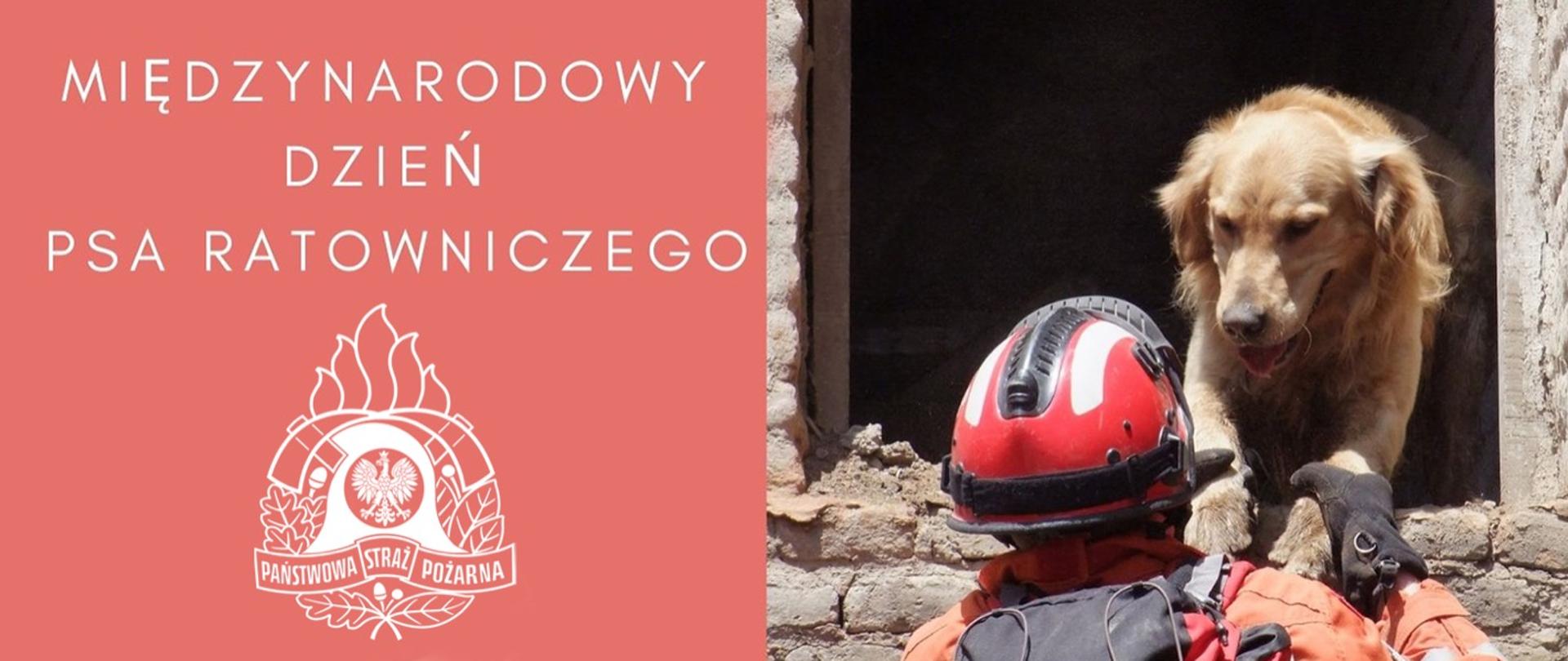 Międzynarodowy Dzień Psa Ratowniczego