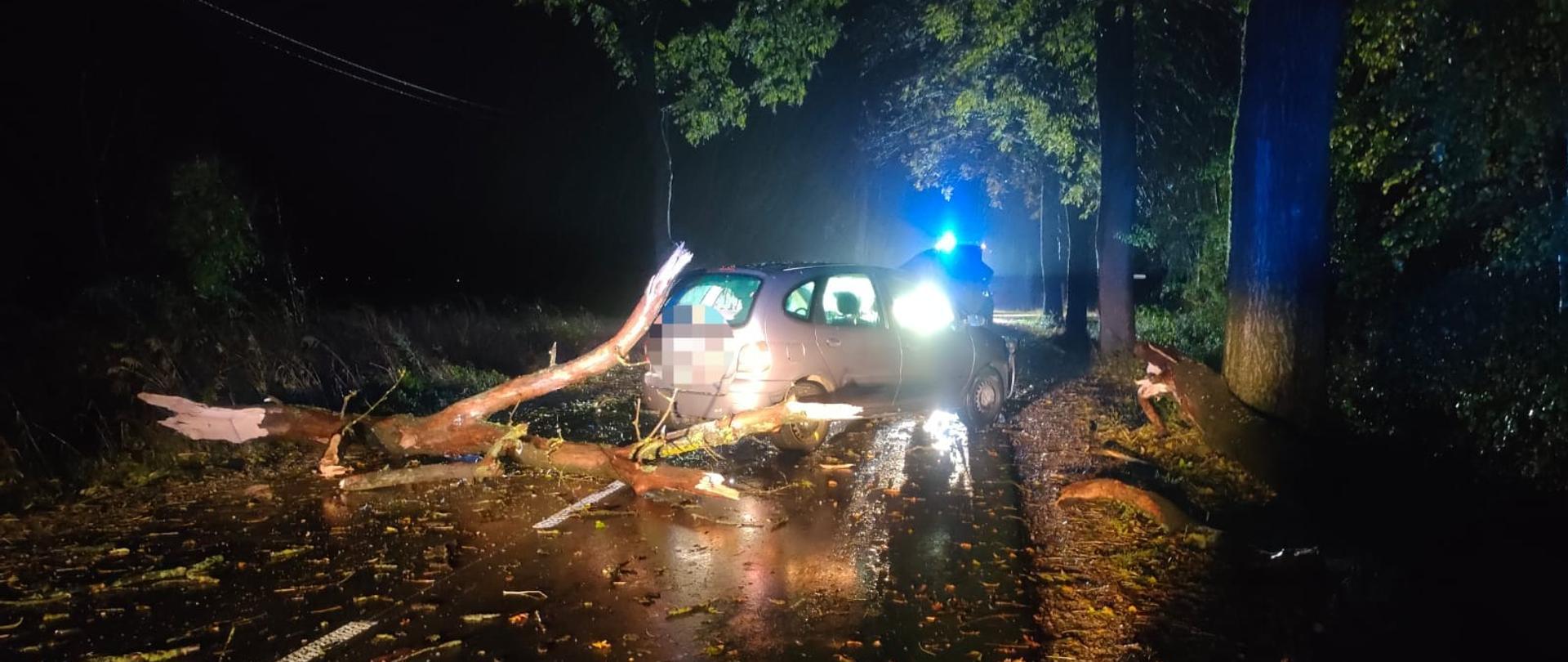 Na zdjęciu widać rozbity samochód osobowy stojący na jezdni. Za samochodem leży ułamany konar. Na jezdni leżą gałęzie. W tle widać samochód strażacki z włączonymi niebieskimi światłami, drzewa oraz zarośla. Jest ciemno.