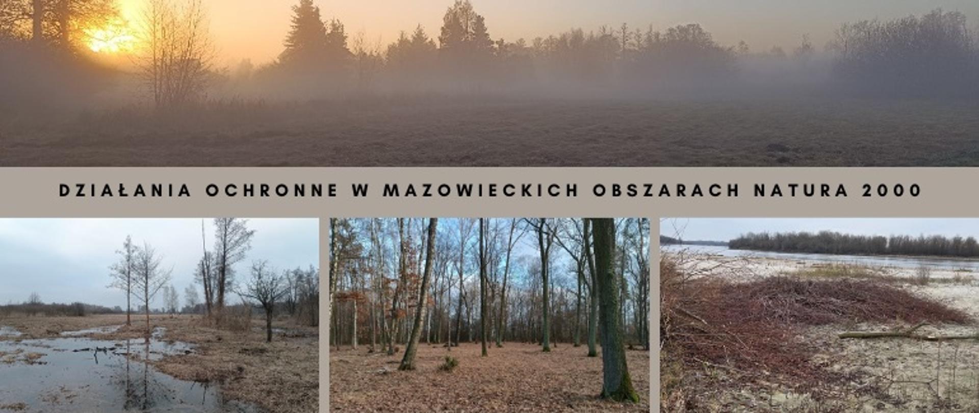 4 zdjęcia przedstawiające krajobraz przyrodniczy - zamglona łąka i drzewa tle, rozlewisko wodne z pojedynczymi drzewami, las, plaża, na niej stos gałęzi, w tle rzeka