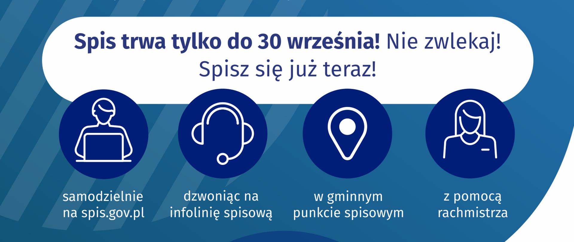 grafika Narodowego Spisu Powszechnego 2021