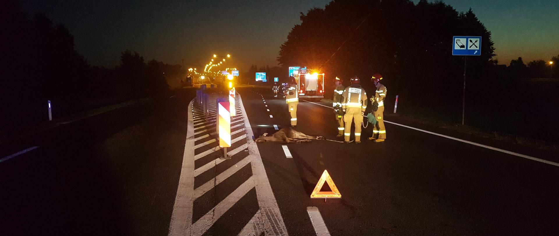 Zdjęcie przedstawia łosia leżącego na jezdni drogi krajowej nr 25, który wcześniej został potrącony przez samochód osobowy. Na zdjęciu widać również strażaków oraz samochód strażacki 