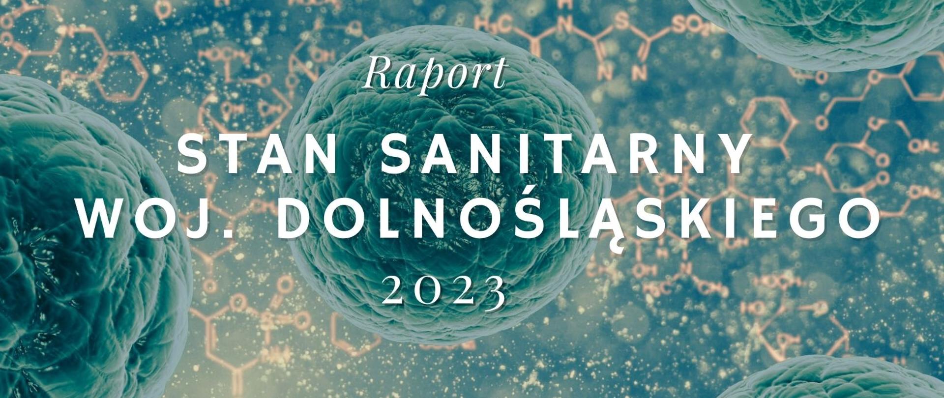 stan sanitarny 2023
