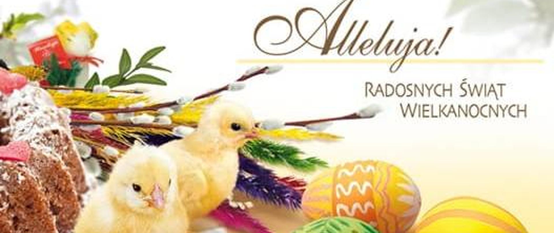 Kartka z życzeniami Wielkanocnymi, kurczak i jajka