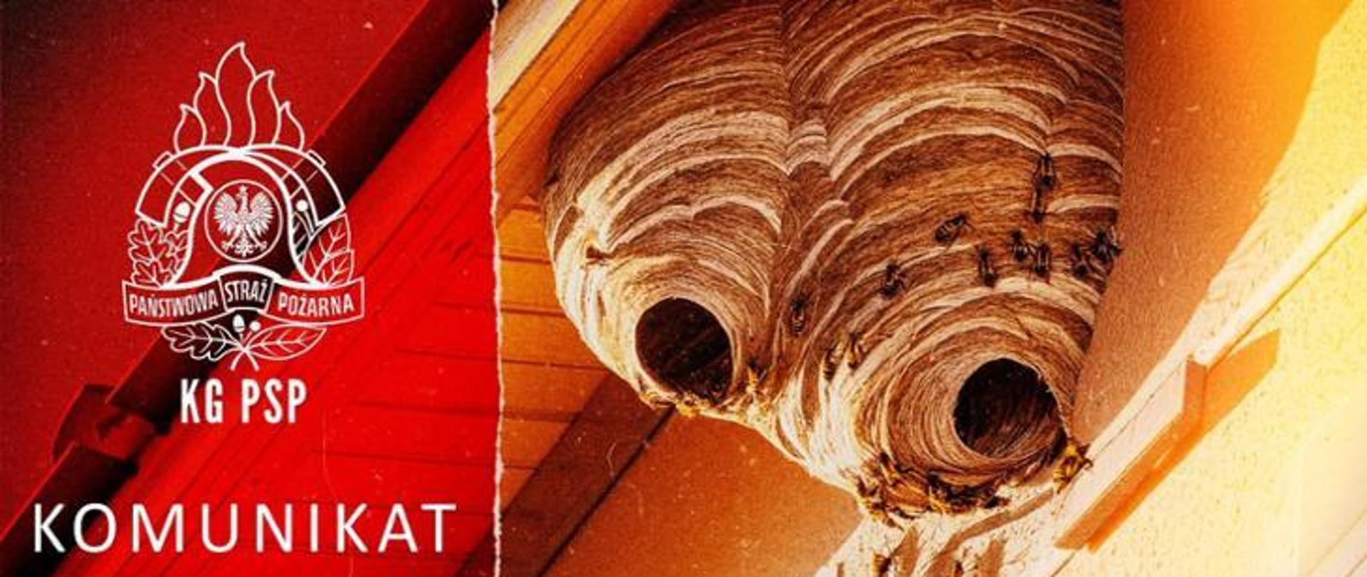 
Obraz przedstawia logo Państwowej Straży Pożarnej (PSP) po lewej stronie, z napisem ‘PAŃSTWOWA STRAŻ POŻARNA’ i ‘KG PSP’ w kolorze białym na czerwonym tle. Po prawej stronie znajduje zdjęcie gniazda os pod dachem. Na środku obrazu widnieje duży biały napis KOMUNIKAT.
