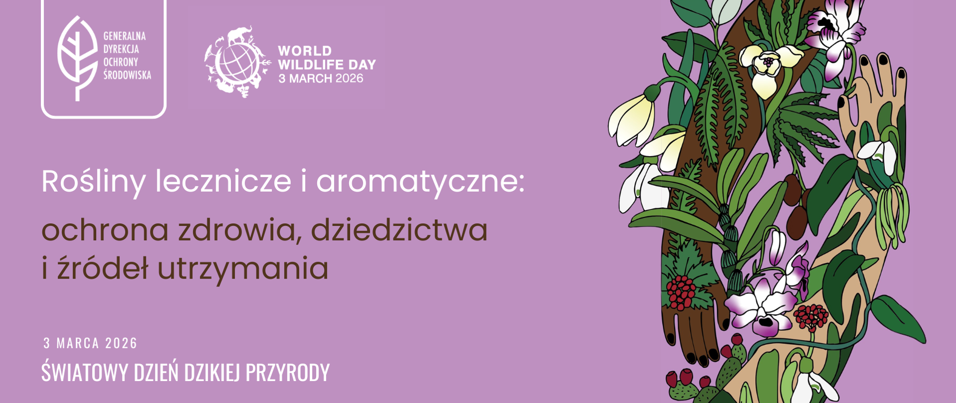W górnej części logotypy: Generalnej Dyrekcji Ochrony Środowiska (biały liść) i World Wildliife Day (rysunek globu ziemskiego otoczonego zwierzętami). Poniżej napisy: Rośliny lecznicze i aromatyczne: ochrona zdrowia, dziedzictwa i źródeł utrzymania, 3 marca 2026 Światowy Dzień Dzikiej Przyrody. Po prawej stronie kolorowa grafika roślin, kwiatów, które oplatają rękę.