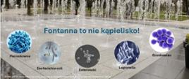 Widok fontanny z podpisem na środku że fontanna to nie kąpielisko oraz 5 zdjęć różnych typów bakterii mogących występować w wodzie z fontanny