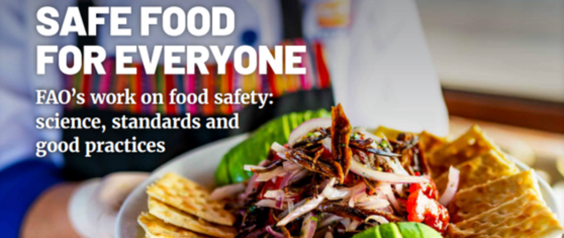 broszura fao, kelner trzymające w dłoniach talerz z jedzeniem