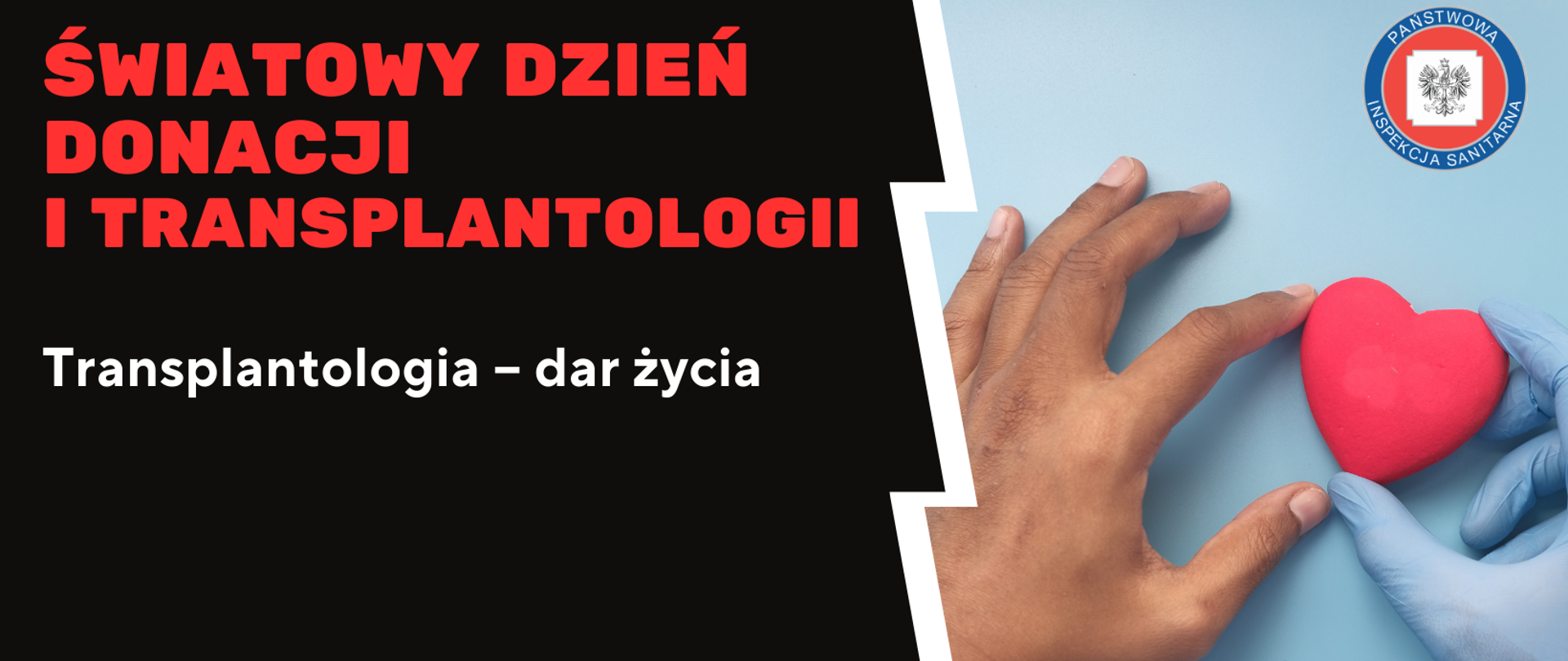 Infografika przedstawia serce, podarowane przez dawcę i przyjęte przez biorcę