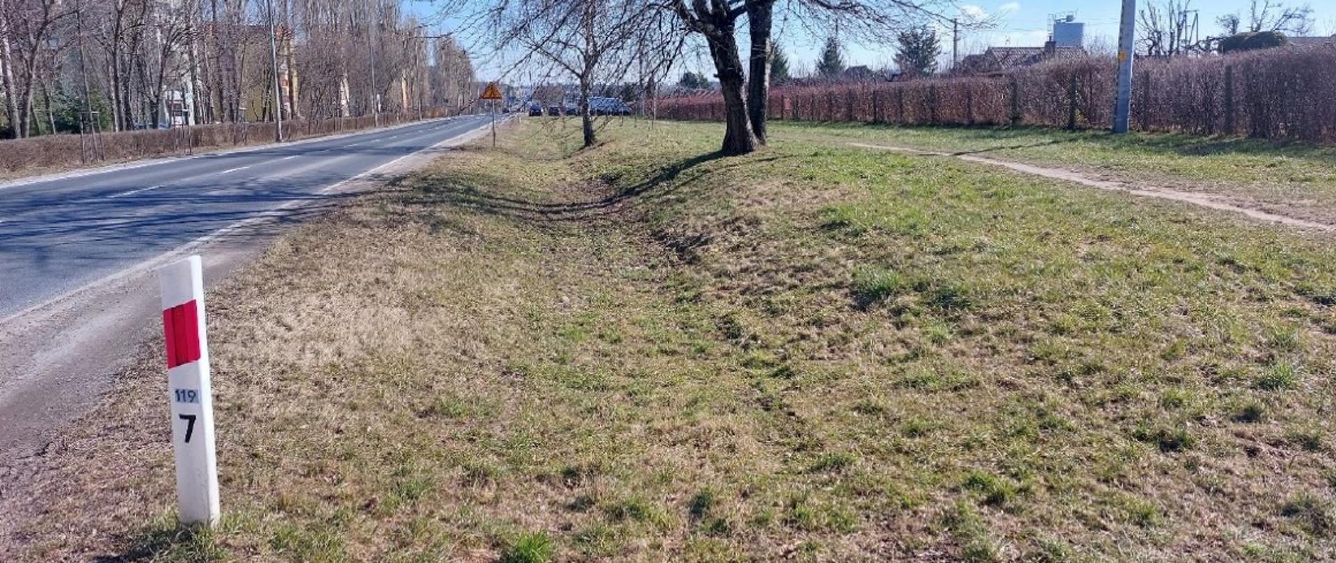 DK12 km 119,7 - lokalizacja w której powstanie ciąg pieszo-rowerowy w Głogowie