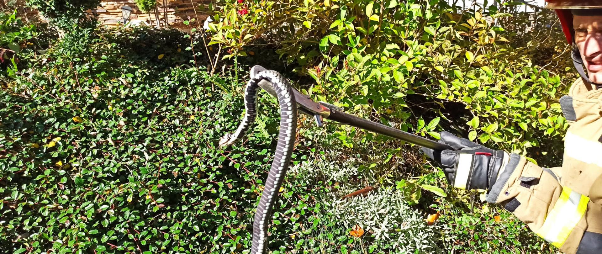 Strażak trzyma węża chwytakiem