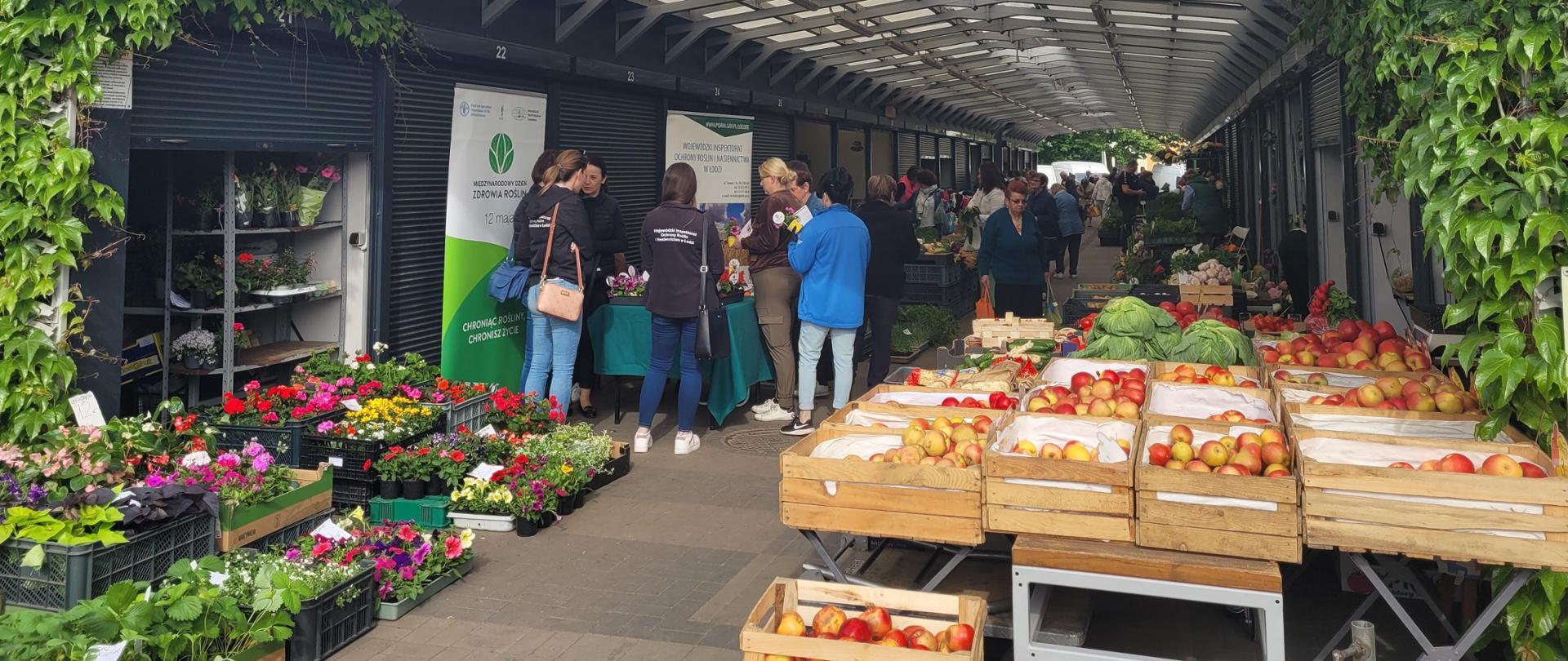 Świeżo, zdrowo, kolorowo na sieradzkim „Zielonym Ryneczku”