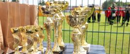 Widok na puchary stojące na stoliku