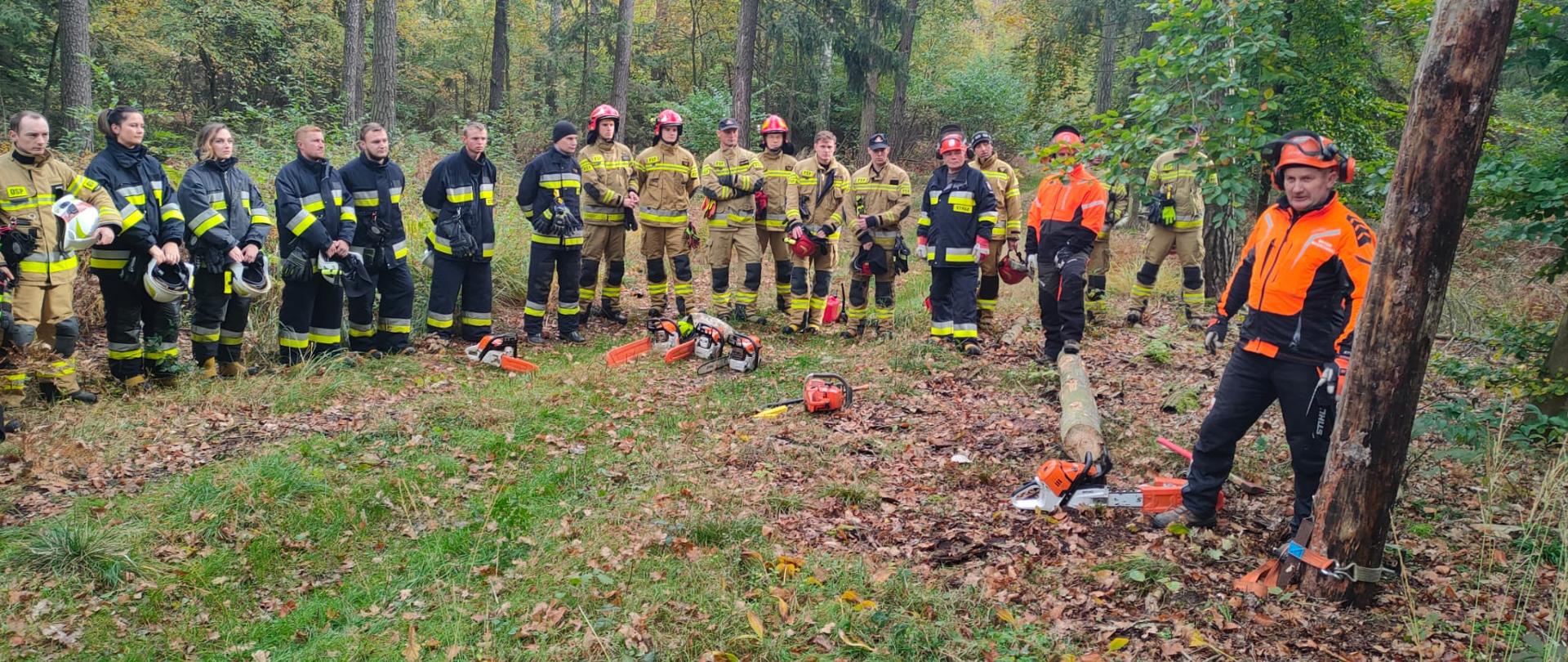 Strażacy oraz pilarze w ubraniach roboczych w lesie. Przed nimi leżą na trawie pilarki.