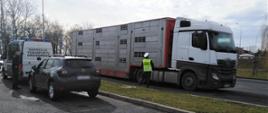 Przy okazji kontroli przewozu zwierząt inspektorzy ujawnili także inne naruszenia